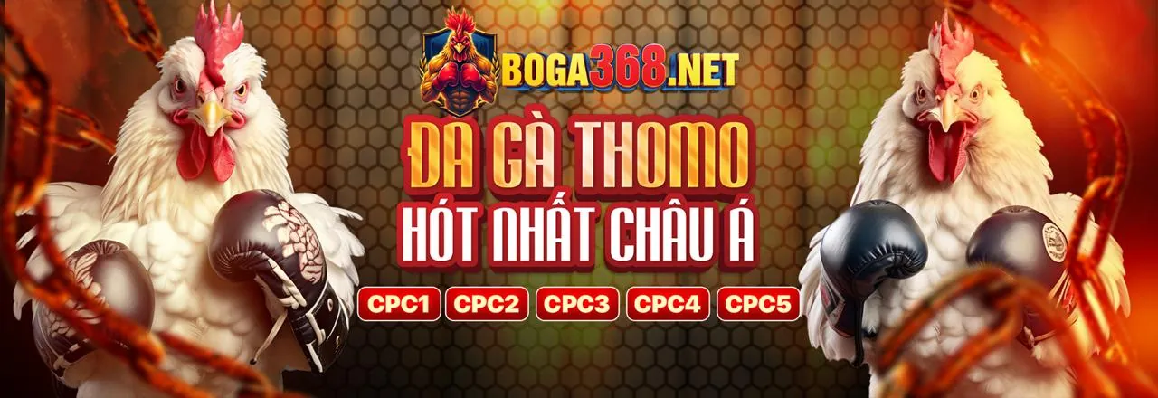 KE68 Link Mới 2026 - Nền tảng cá cược trực tuyến uy tín